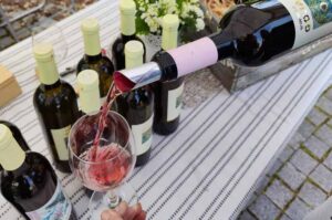 degustacja wina